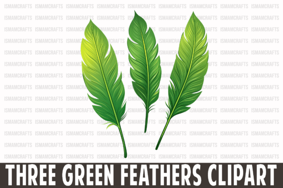 Three Green Feathers Clipart PNG: Graphics for Freebies